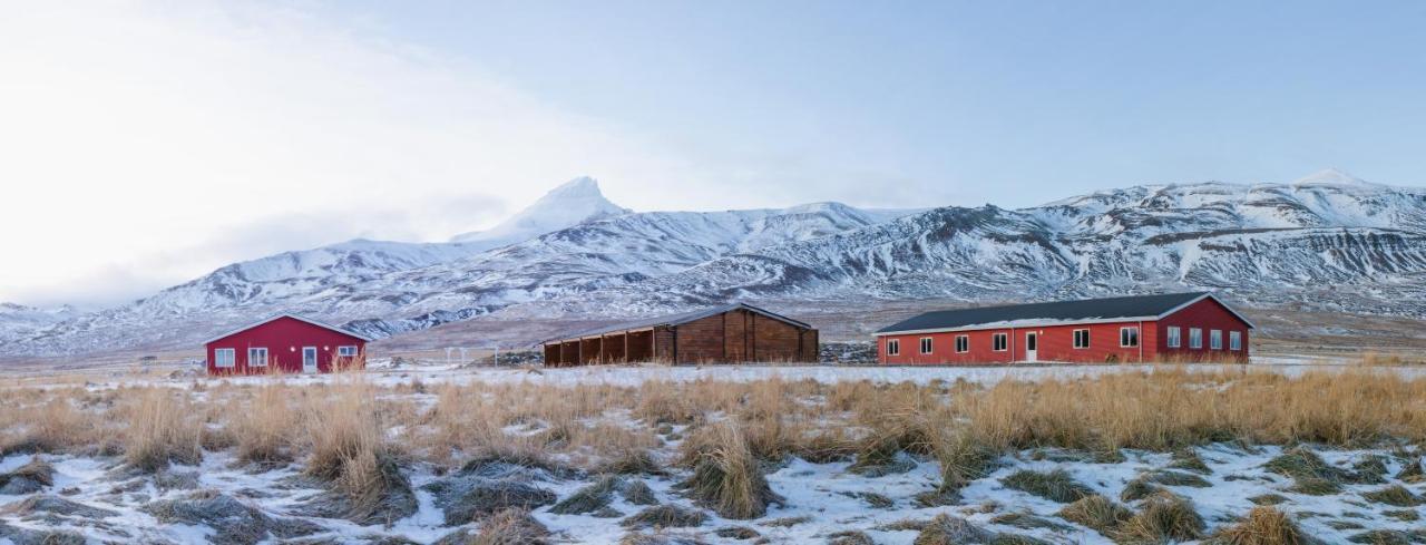 Alfheimar Hotel Borgarfjörður eystri Extérieur photo